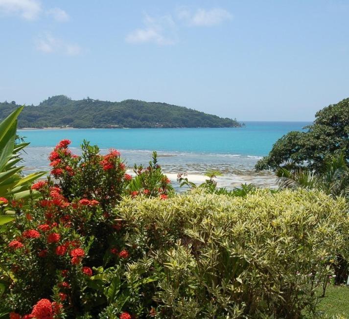 Sailfish Lodge *