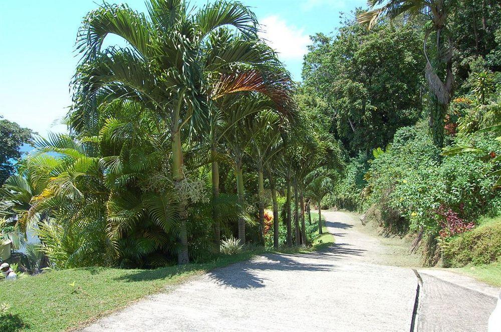 Alojamento de Turismo Selvagem Sailfish *